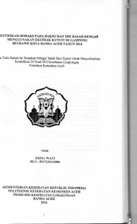 Image of Identifikasi Boraks pada Resiko dan Mie Basah dengan Menggunakan Ekstrak Kunyit di Gampong Beurawe Kota Banda Aceh Tahun 2016