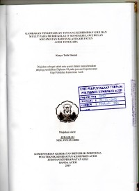 Image of Gambaran Pengetahuan Tentang Kebersihan Gigi dan Mulut pada Murid Kelas IV SD Negeri Lawe Bulan Kecamatan Babussalam Kabupaten Aceh Tenggara