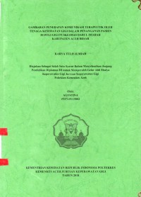 Image of Gambaran Penerapan Komunikasi Terapeutik Oleh Tenaga Kesehatan Gigi dalam Penanganan Pasien di Poli Gigi Puskesmas darul Imarah Kabupaten Aceh Besar