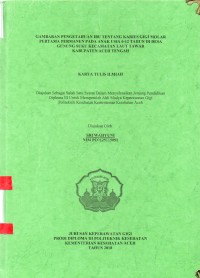 Image of Gambaran Pengetahuan Ibu Tentang Karies Gigi Molar Pertama Permanen pada Anak Usia 6-12 Tahun di Desa Gunung Suku Kecamatan Laut Tawar Kabupaten Aceh Tengah