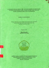Image of Gambaran Pengetahuan Ibu Tentang rampan Karies pada Anak di TK Bungong Pade Lampeuneurut Kecamatan Darul Imarah Kabupaten Aceh Besar