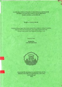 Image of Gambaran Peran Perawat Gigi Sebagai Edukator Kesehatan Gigi dan Mulut di Puskesmas darul Kamal Aceh Besar