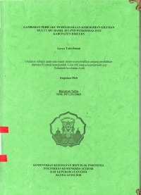 Image of Gambaran Perilaku Pemeliharaan Kebersihan Gigi dan Mulut Ibu Hamil di UPTD Puskesmas Juli Kabupaten Bireuen