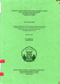 Image of Gambaran Pengetahuan Ibu Tentang Rampan Karies pada Anak Balita di Desa Jijiem Kecamatan Keumala Kabupaten Pidie