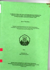 Image of Gambaran Peran Ibu Dalam Pemeliharaan Kesehatan Gigi dan Mulut pada Anak Berkebutuhan Khusus di SDLB Negeri Labui Kota Banda Aceh