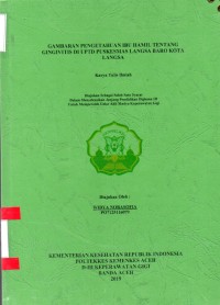 Image of Gambaran Pengetahuan Ibu Hamil Tentang Gingivitis di UPTD Puskesmas Langsa Baro Kota Langsa