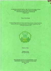 Image of Gambaran Pengetahuan Ibu Tentang Pergantian Gigi di Desa Lagang Kecamatan Darul Imarah Kabupaten Aceh Besar Tahun 2019