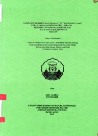 Image of Gambaran Persepsi Mayarakat Tentang Penggunaan Getah Jarak (Jatropha Curxa) Sebagai Pengobatan Sariawan di Desa Juli Meunasah Jok Kabupaten Bireuen
