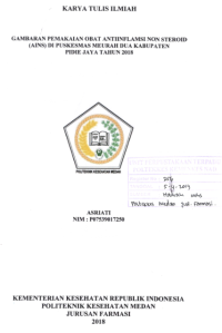 Image of Gambaran Pemakaian Obat Anti Inflamasi Non Steroid (AINS) Di Puskesmas Meurah Dua Kabupaten Pidie Jaya Tahun 2018