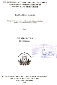 Image of Uji Aktivitas Antibakteri Ekstrak Daun Pisang (Musa X Paradisiaca) Dengan Warna Yang Bervariasi