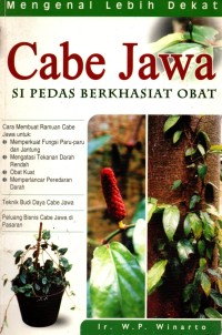 Image of Cabe Jawa Si Pedas Berkhasiat Obat