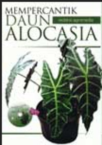 Image of Mempercantik Daun Alocasia