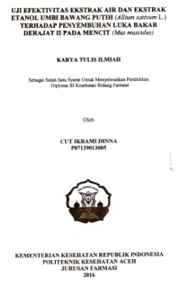 Image of Uji Efektivitas Ekstrak Air Dan Ekstrak Etanol Umbi Bawang Putih (Allium Sativum L.) Terhadap Penyembuhan Luka Bakar Derajat II Pada Mencit (Mus Musculus)