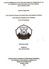 Image of Asuhan Kebidanan Pada Ibu Nifas Dengan Bendungan ASI Di Gampong Pango Kecamatan Ulee Kareng Kota Banda Aceh