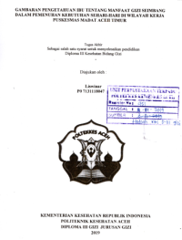 Image of Gambaran Pengetahuan Ibu Tentang Manfaat Gizi Seimbang Dalam PemenuhanKebutuhan Sehari- Hari Di Wilayah Kerja Puskemas Madat Aceh Timur