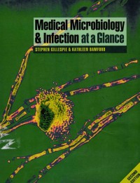 Image of Medical Microbiology & Infection At a Glance