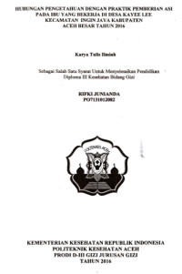 Image of Hubungan Pengetahuan Dengan Praktik Pemberian ASI Pada Ibu Yang Bekerja Di Desa Kayee Lee Kecamatan Ingin Jaya Kabupaten Aceh Besar Tahun 2016