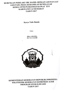 Image of Hubungan Perilaku Ibu Hamil Dengan Asupan Zat GIzi Pada Masa Kehamilan Di Wilayah Kerja UPTD Puskesmas Kaway XVI Kabupaten Aceh Barat Tahun 2017