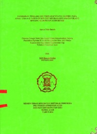 Image of Gambaran Perilaku Ibu Terhadap Status Karies Pada Anak Usia 6-12 Tahun Di SDN Cot Meuraja Kecamatan Balang Bintang Kabupaten Aceh Besar
